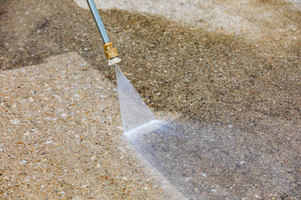 Best Sidewalk and Walkway Cleaning  in Geneva, AL