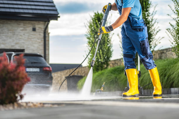 Best Roof Washing  in Geneva, AL